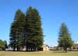 Fremantle (42548 bytes)