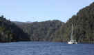 gordon_river1.jpg (82555 bytes)