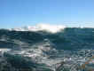 high_seas.jpg (80814 bytes)
