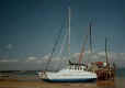 Beached (26981 bytes)