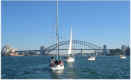 sail_in.jpg (109649 bytes)