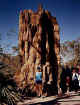 Termite Mound (43754 bytes)