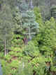 west_creek_valley.jpg (65895 bytes)