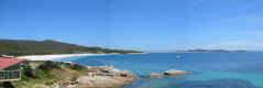 whalebay.jpg (20739 bytes)