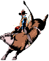 /user/BullRider.gif