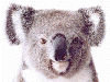 /user/nice.gif