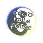 pic of badges