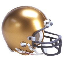 GO IRISH