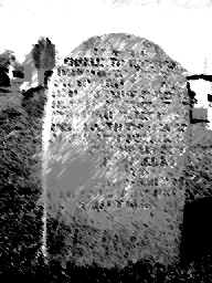 Random Gravestone -- Prosperity, SC