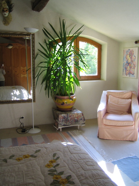 yucca