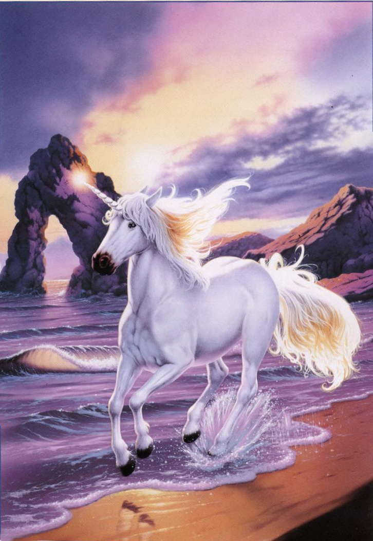 Unicorn on the Shore