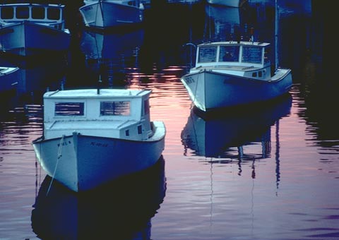 boats moored in maine USA