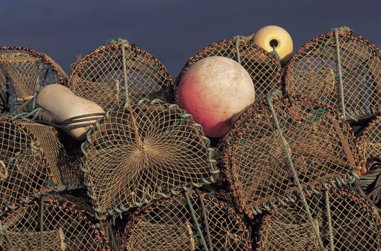Lobster pots