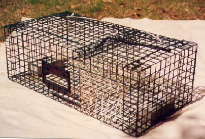 American steel lobster pots( click to learn more)