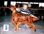 Vicary's Noble Son