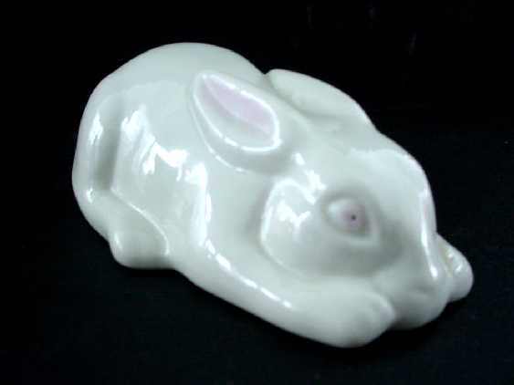 layingrabbit.jpg (10311 bytes)