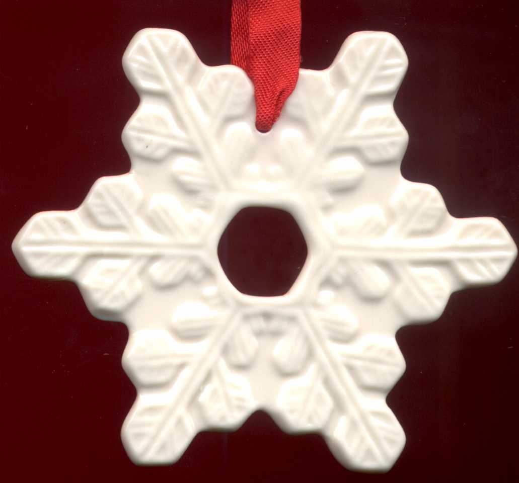 snowflake.jpg (42834 bytes)