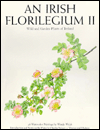 Irish Florilegium II: