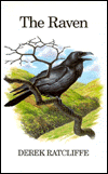 The Raven, the: