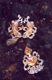Fish and vase. hand made silver with 24k gold plating