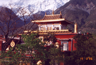 Norbulingka. A view from my balcony.