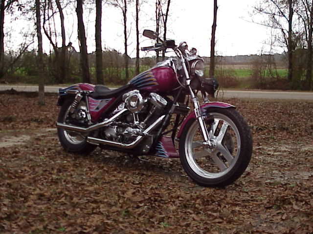 87' FXR Custom