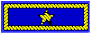 Brigadier General