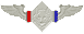 The Silver Wings are awarded for 100 Kills in sacntioned matches