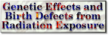 Genetic Effects and Birth
Defects from Radiation Exposure