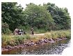 s20020801_0004.jpg