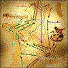Migratory pattern