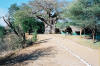 Tented lodge