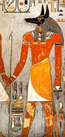 anubis