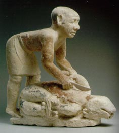 carnicero