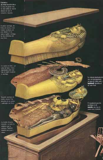 Sarcofagos