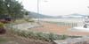 sd4_002.jpg