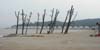 sd4_008.jpg