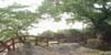 sd5_005.jpg