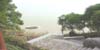 sd5_007.jpg