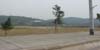 sd6_001.jpg