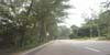 sd6_007.jpg