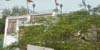 sd7_004.jpg