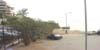 sd7_007.jpg