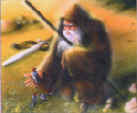 Radagast le Brun