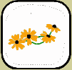 daisy-side