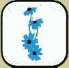 Daisy-up