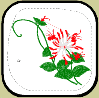 Hummer Flower