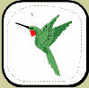 Hummingbird