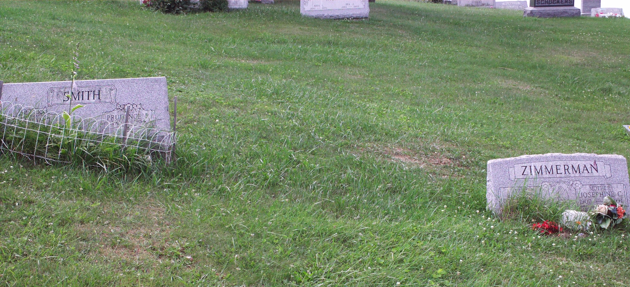 The plot in Emerickville Luthern Cemetery where Joseph & Rebecca Ishtman are said to be buried. Headstone is missing.