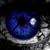 .grundgeeye.